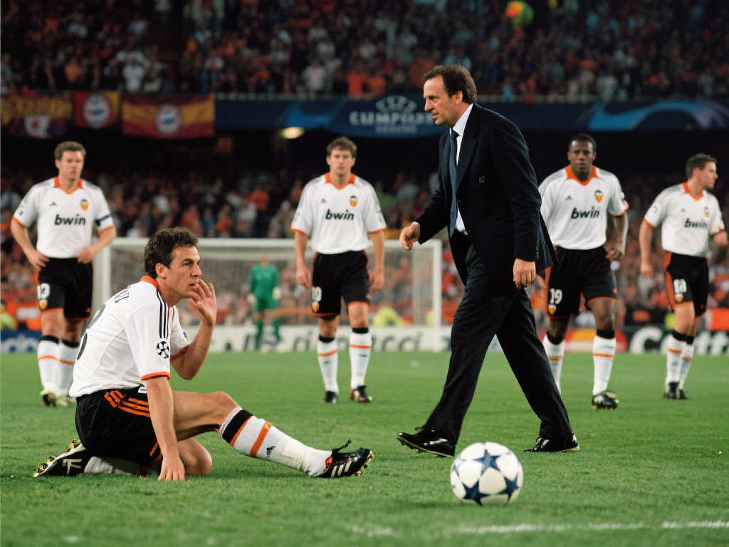 表现充满期 表现充满期